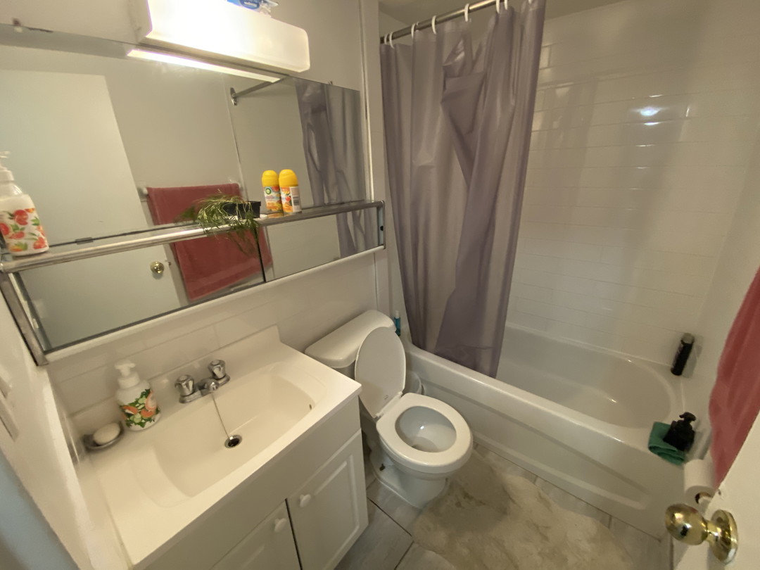 Flex Plus -  Steptanie St -  Toronto - Financial District