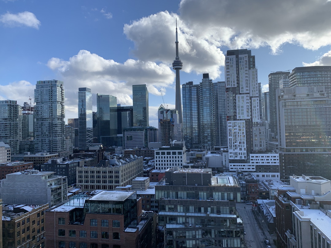 Flex Plus -  Steptanie St -  Toronto - Financial District